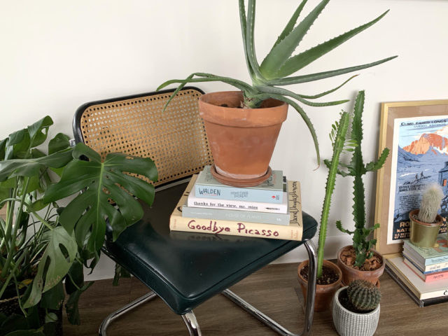 How To Revitalize Your Space by Introducing Foliage